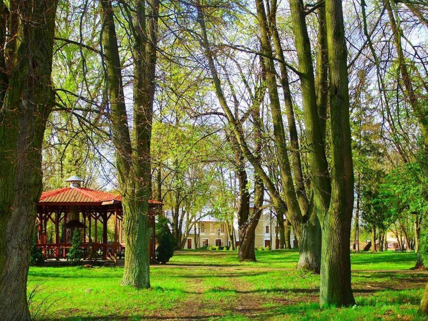 Hotel Rytwiany Palac Dış mekan fotoğraf